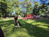 2025-09-07-JO_45